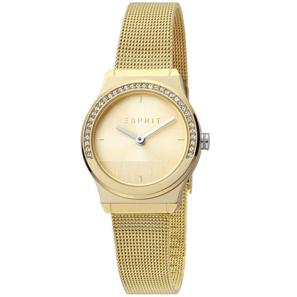 Horloge Dames Esprit ES1L091M0055