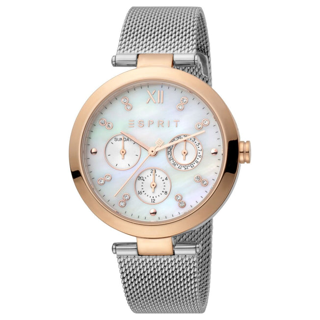 Horloge Dames Esprit ES1L213M1035