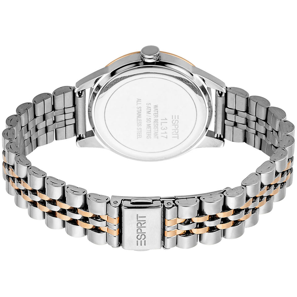 Horloge Dames Esprit ES1L317M0105