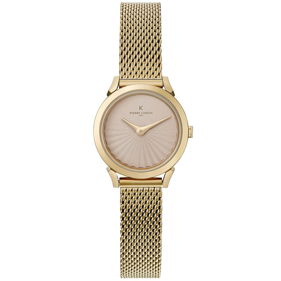 Horloge Dames Pierre Cardin CPI-2522