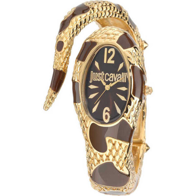 Horloge Dames Just Cavalli R7253153514