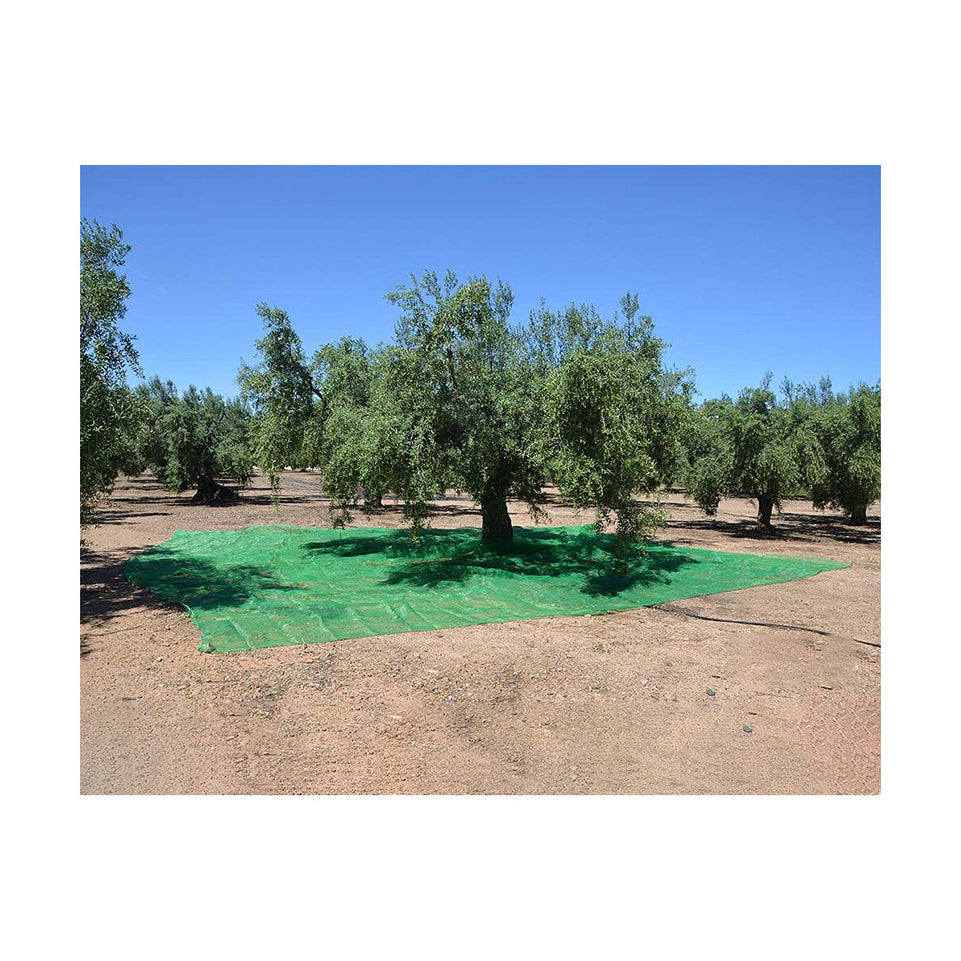 Beschermend dekzeil Groen Polypropyleen (5 x 10 m)