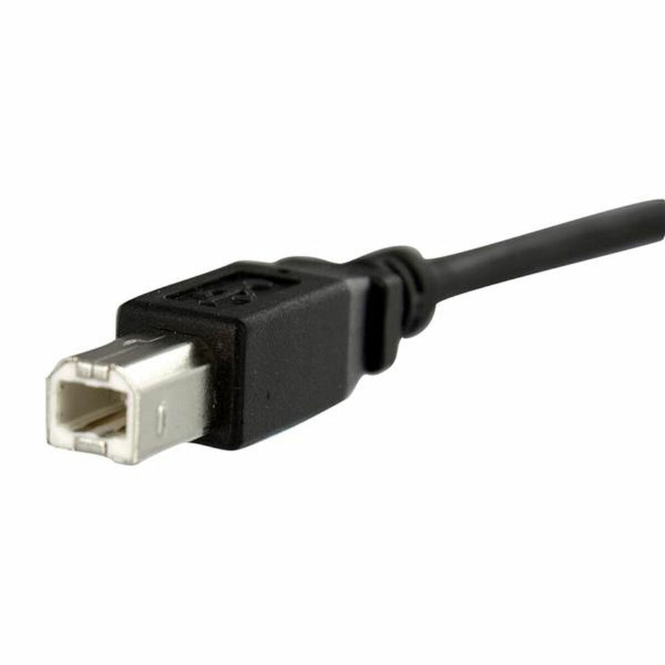 USB-kabel Startech USBPNLBFBM1          USB B Zwart